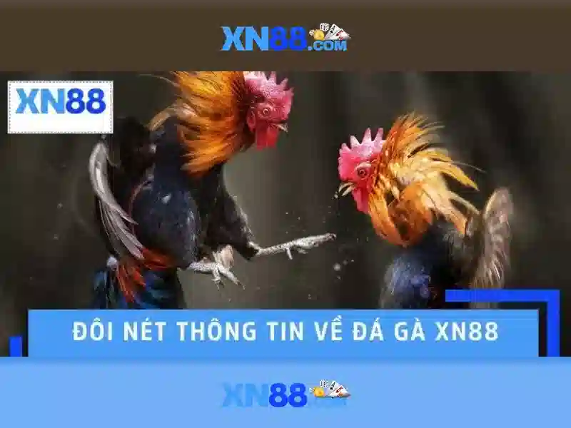 xn88 bshrf – Tổng quan chủ đề và giá trị cốt lõi