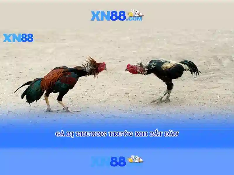 nhà cái xn88 – trải nghiệm đỉnh cao với xn88 store