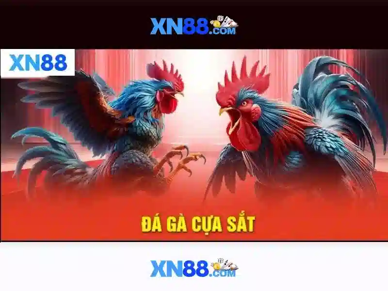 Các dịch vụ chính