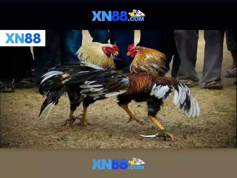 Hướng dẫn đăng ký và bảo mật