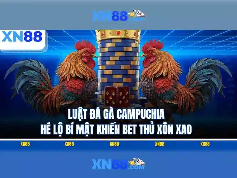 Bảo mật và trách nhiệm khi tham gia xn88