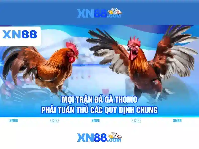 Thanh toán và bảo mật
