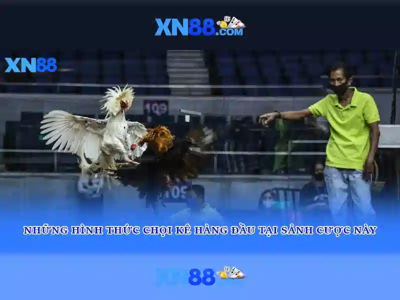 XN88: Tổng quan về nền tảng và trải nghiệm người dùng