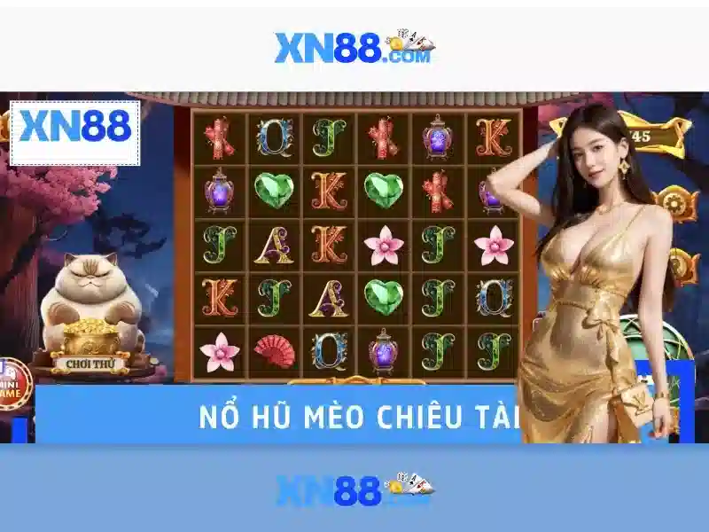 Tính năng và trải nghiệm người dùng
