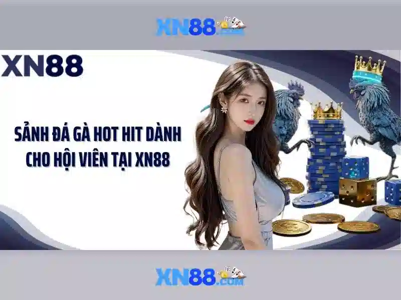 Dịch vụ hỗ trợ và an toàn