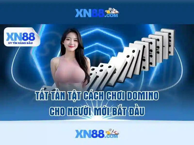 An toàn và hỗ trợ người dùng