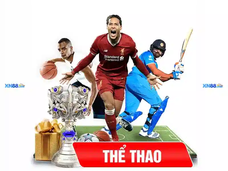 <!--IMG_PLACEHOLDER alt>Trải nghiệm người dùng và phản hồi cộng đồng-->