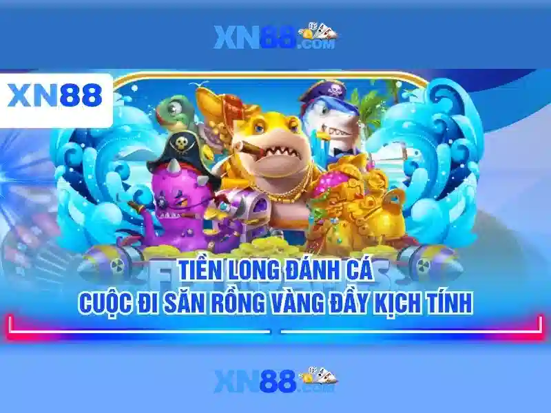Giới thiệu về xn88