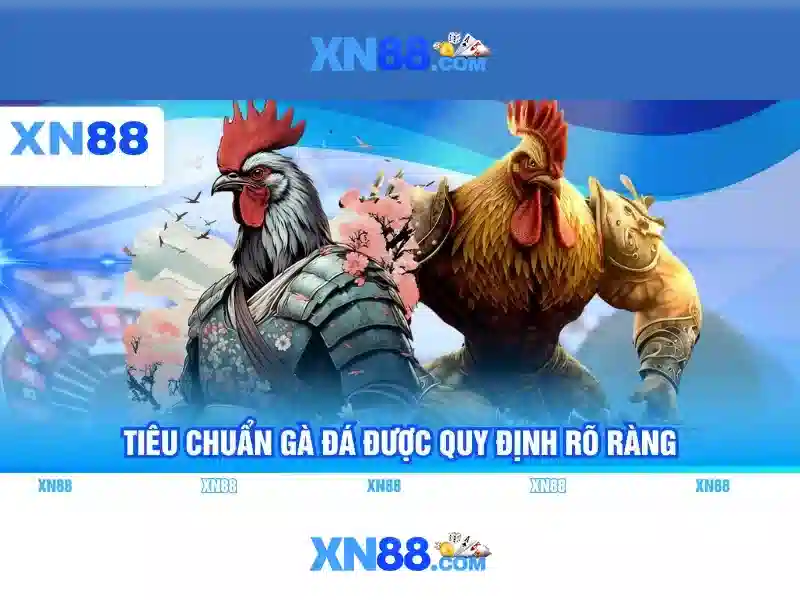 Định vị trên thị trường và cộng đồng người chơi\n\n