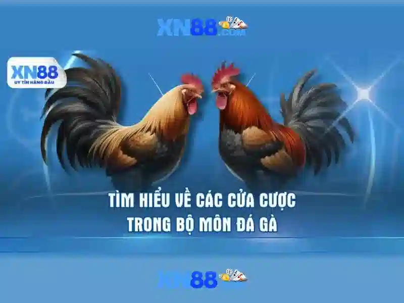 Messenger hỗ trợ xn88 tổng quan