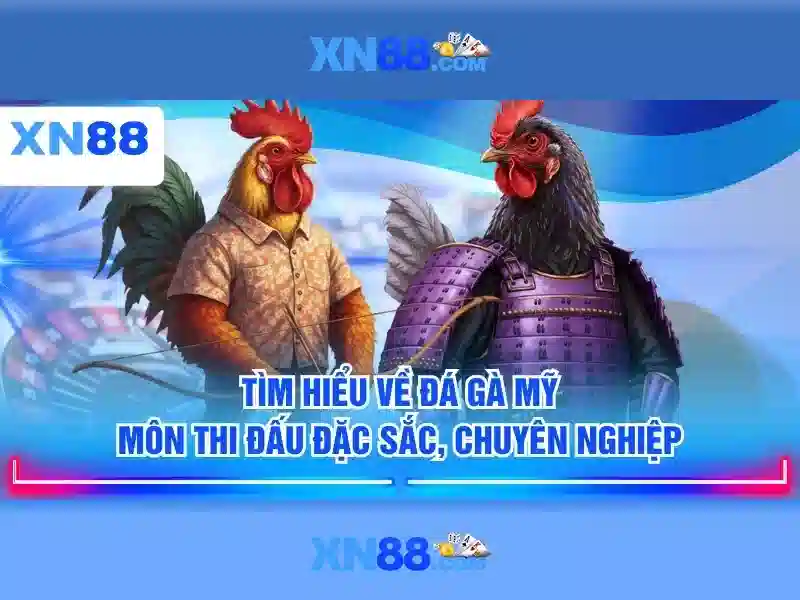 Lịch sử và nguồn gốc\n\n