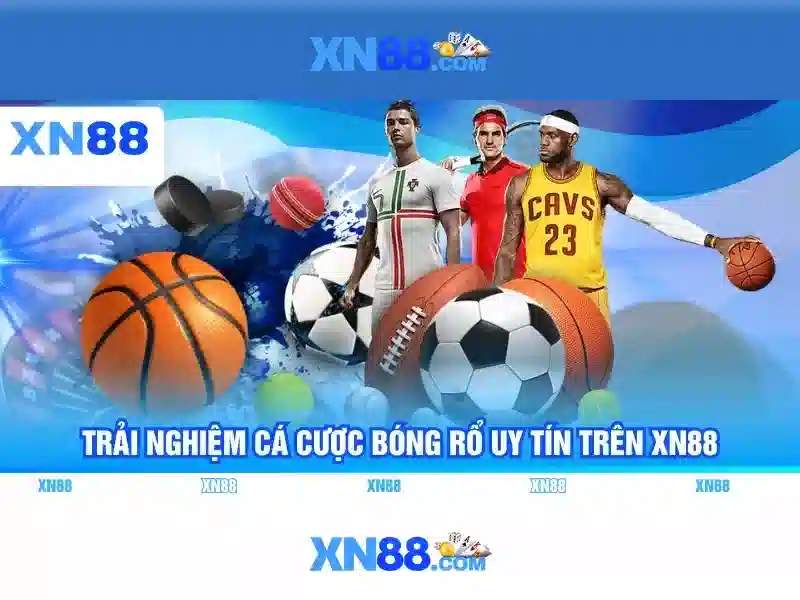 Nền tảng và giao diện\n\n