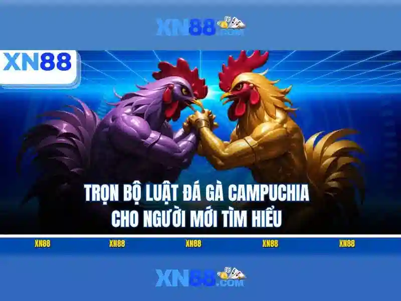 Nền tảng và công nghệ