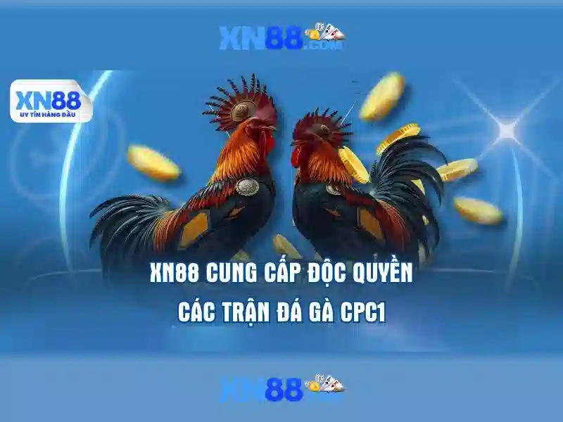 xn88 là gì? Tổng quan về nền tảng cá cược trực tuyến
