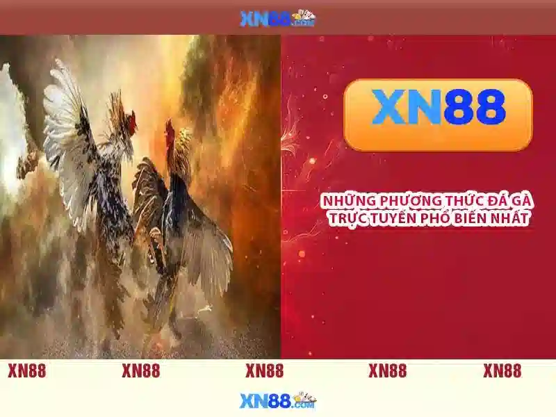 XN88: Nền tảng cá cược trực tuyến nổi bật