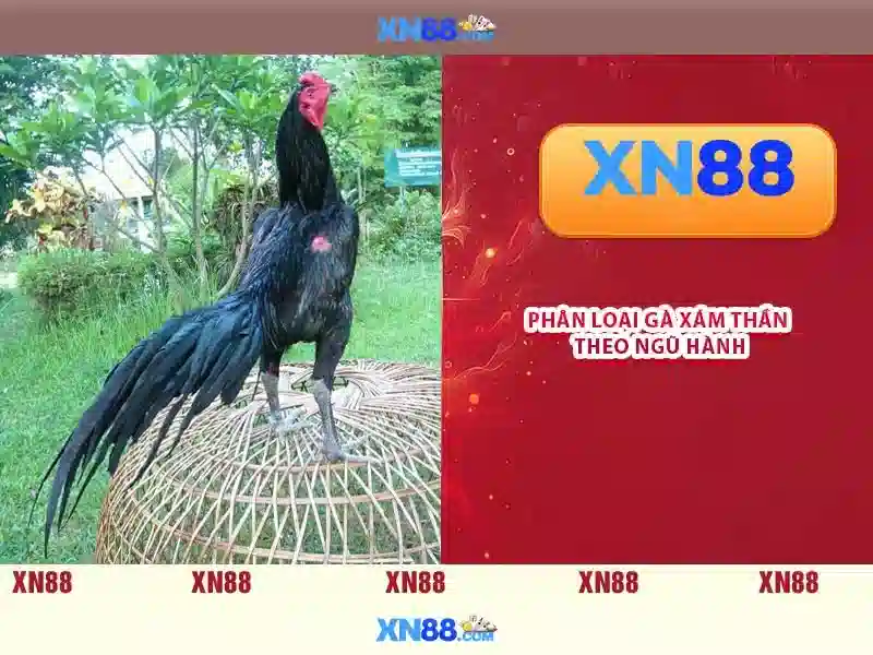 Khám phá xn88: Nền tảng cược trực tuyến phổ biến