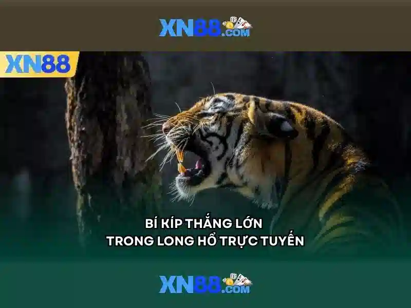 XN88: Giới thiệu nền tảng trực tuyến và trải nghiệm người dùng