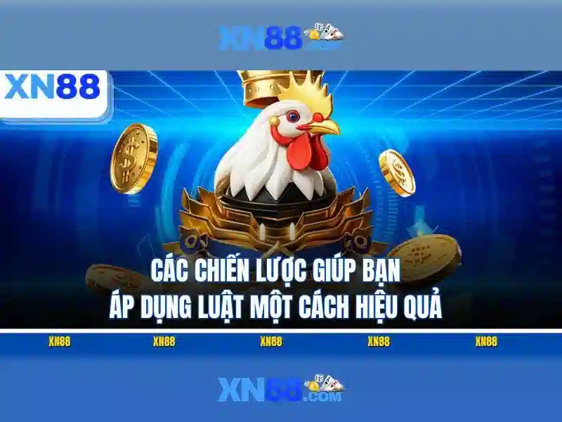 Hỗ trợ khách hàng và trải nghiệm người dùng