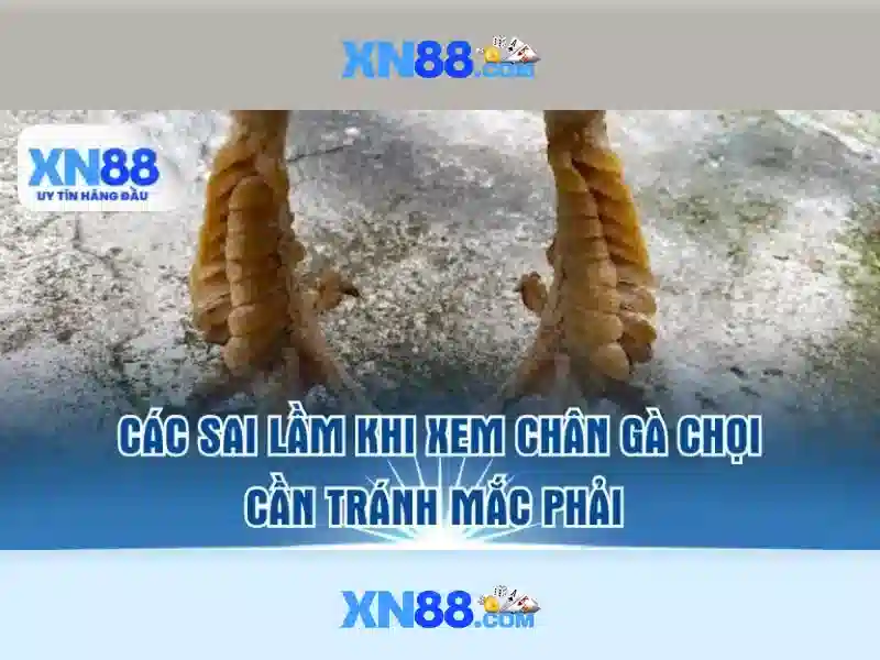 Tính năng nổi bật của xn88