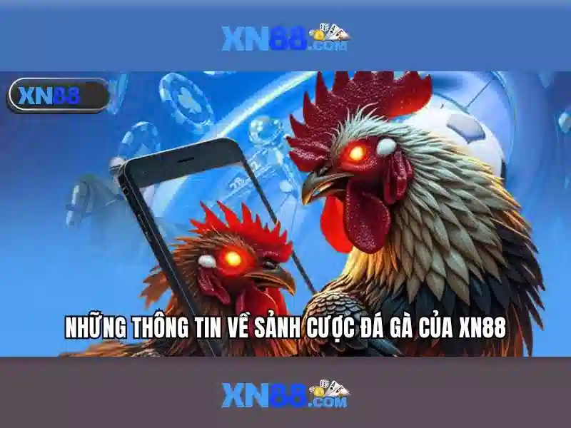 Lịch sử và nguồn gốc của xn88