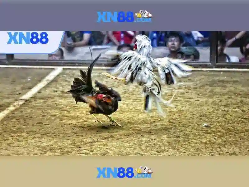 Mẹo chơi bắn cá 3 cây dễ ăn tiền nhà cái