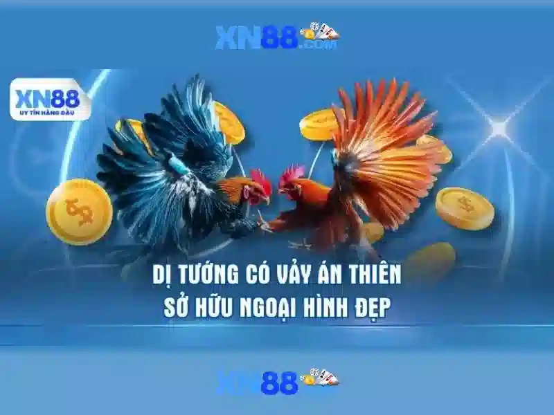 xn88 – Tong quan ve nen tang giai tri truc tuyen