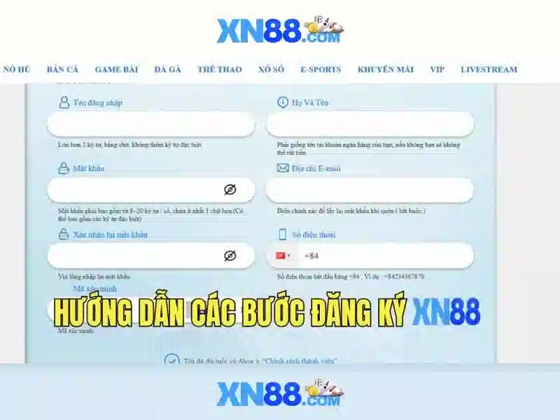 Chăm sóc khách hàng và hỗ trợ