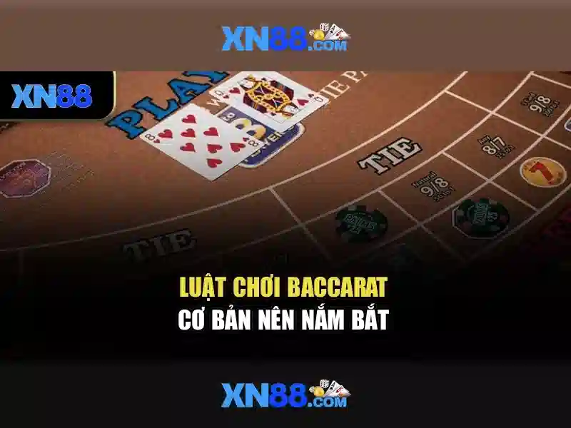 Các sản phẩm và dịch vụ