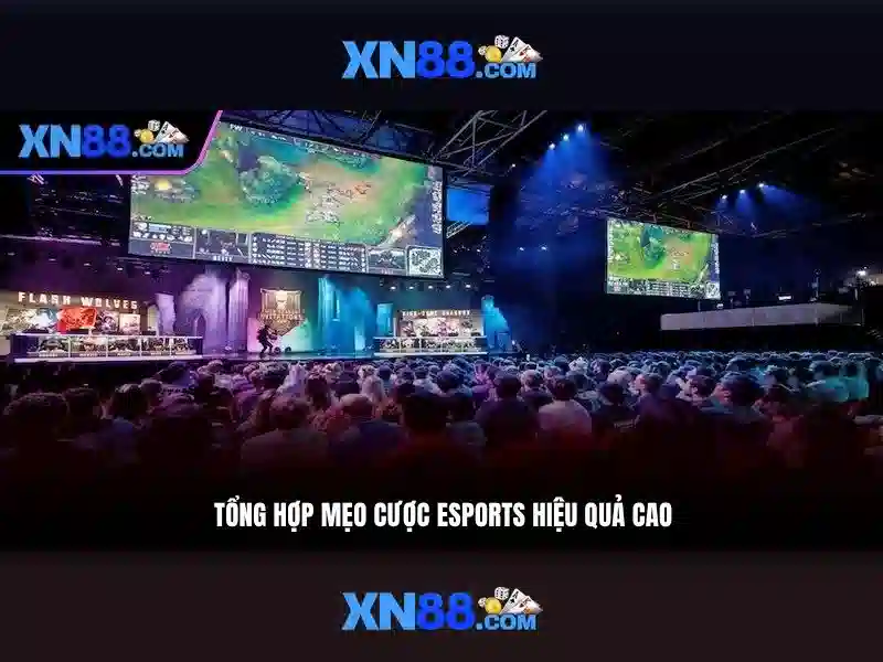 Giới thiệu về Xn88\n