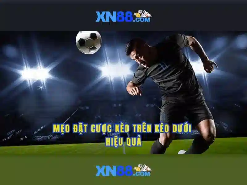 An toàn và bảo mật tài khoản