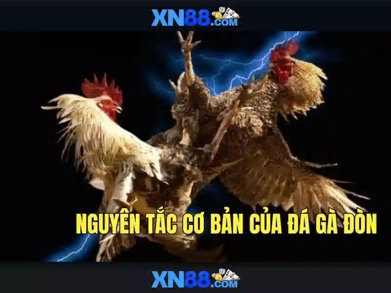 Lịch sử và sự phát triển