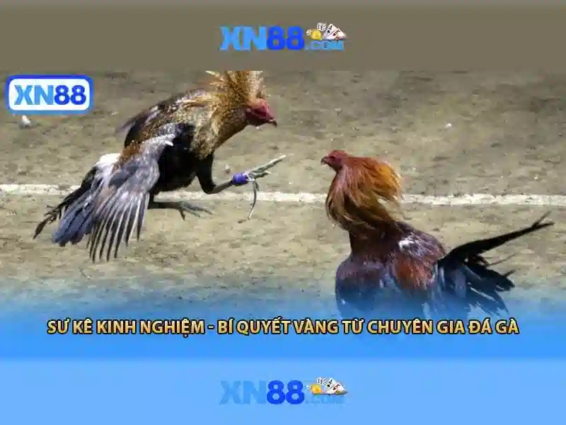An toàn và tuân thủ pháp lý
