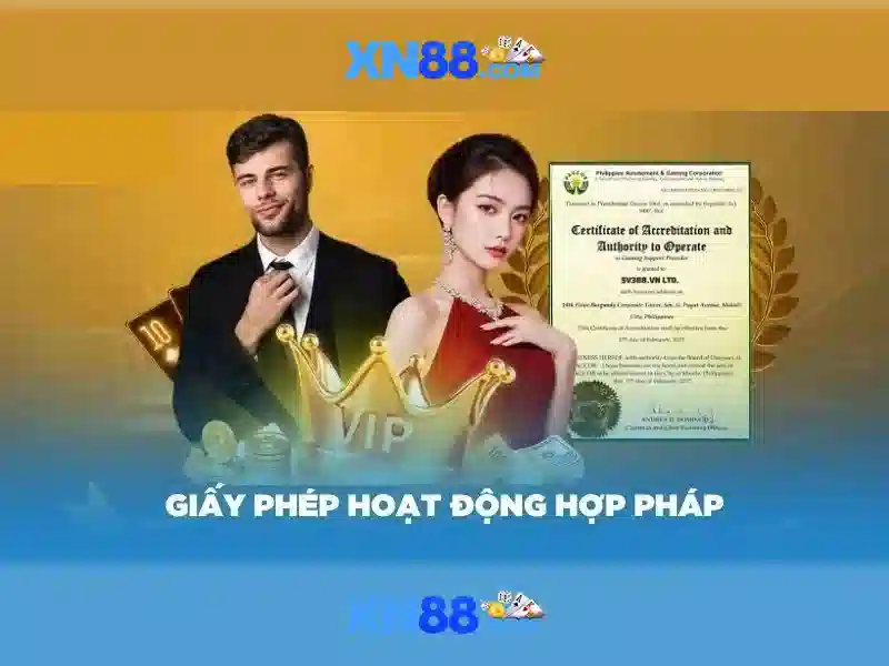Nền tảng và chức năng