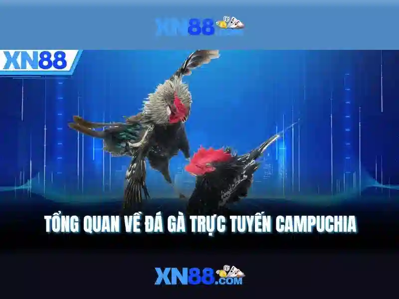 xn88: Tổng quan và trải nghiệm