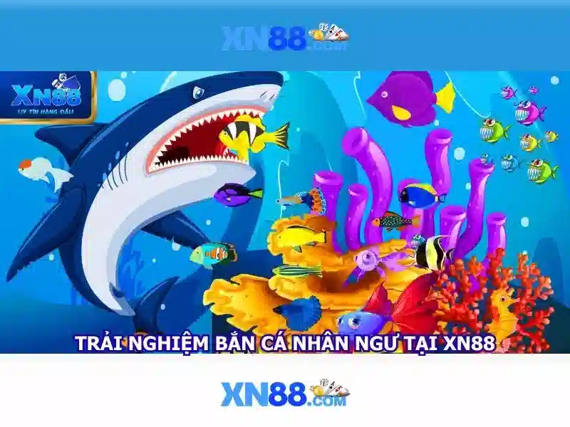 Các chức năng nổi bật\n\n