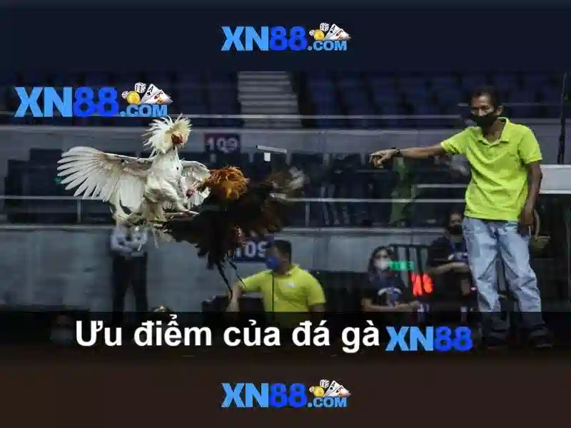 xn88: Nền tảng cược trực tuyến nổi bật ở Việt Nam