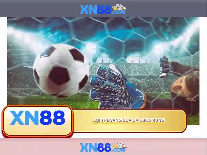 Giới thiệu về xn88