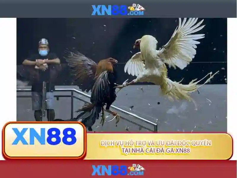Mẹo chơi bắn cá 3 cây dễ ăn tiền nhà cái