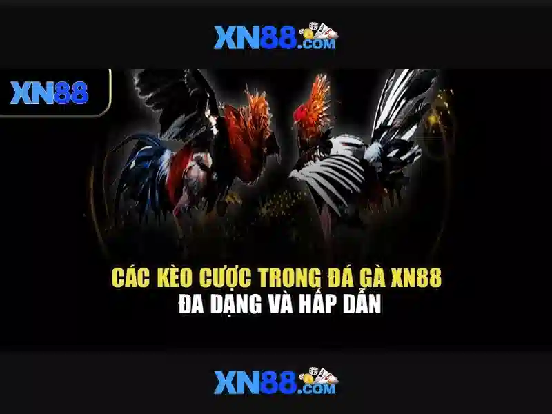 Mẹo chơi bắn cá 3 cây dễ ăn tiền nhà cái