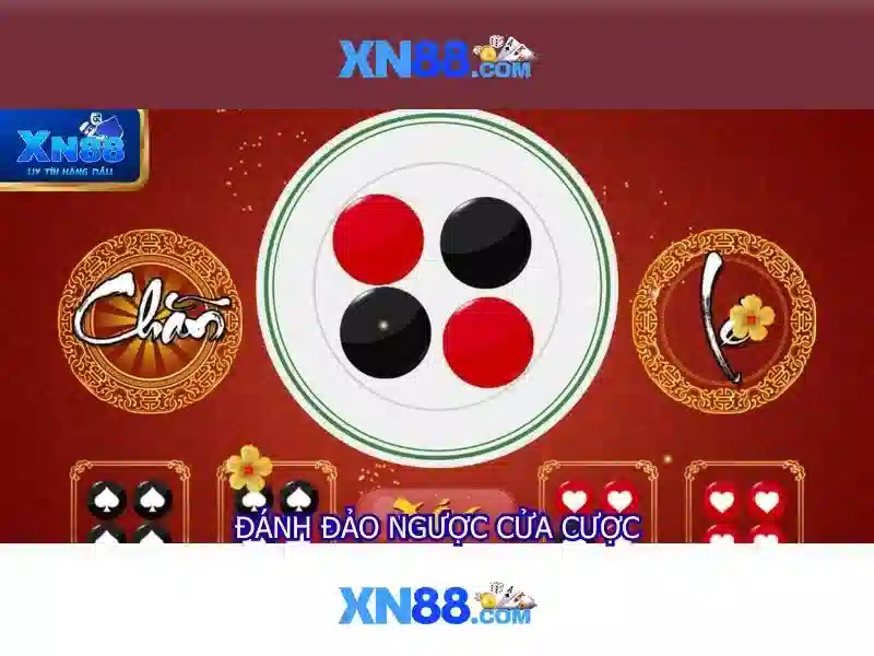 Các tính năng nổi bật