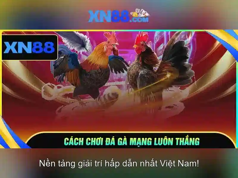 Kết luận và khuyến nghị