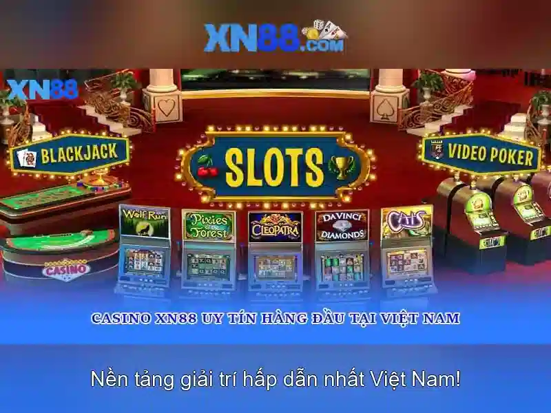 Lịch sử và nguồn gốc