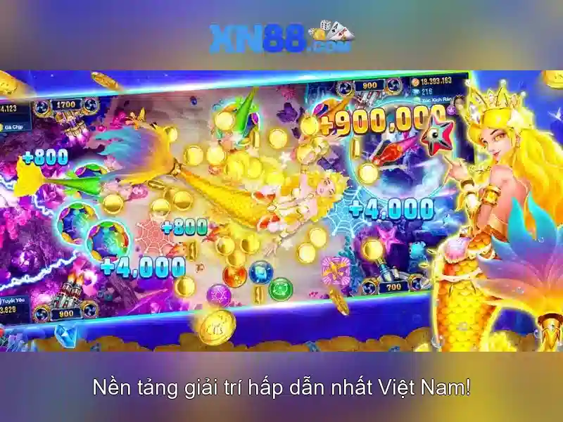 Giao diện và trải nghiệm người dùng