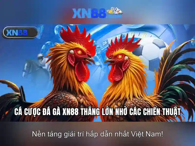 XN88 là gì và cách tham gia