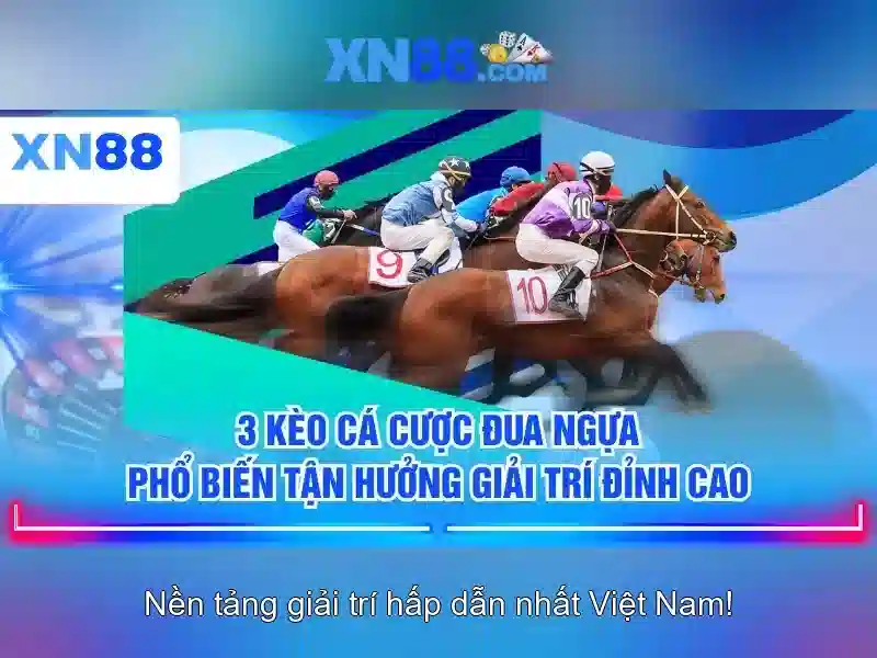 Các tính năng nổi bật của xn88