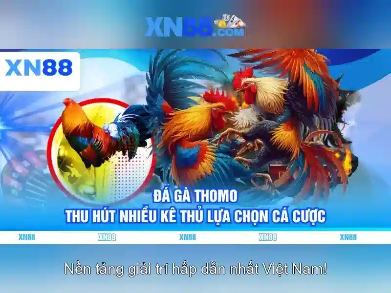 Thanh toán và rút tiền\n\n