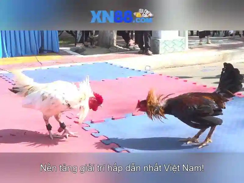 Mẹo chơi bắn cá 3 cây dễ ăn tiền nhà cái