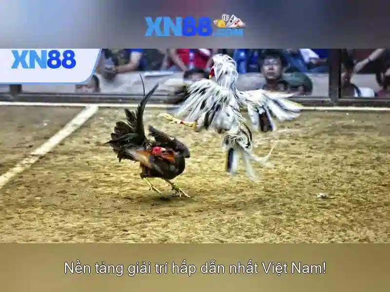 An toan va thanh toan\n\n