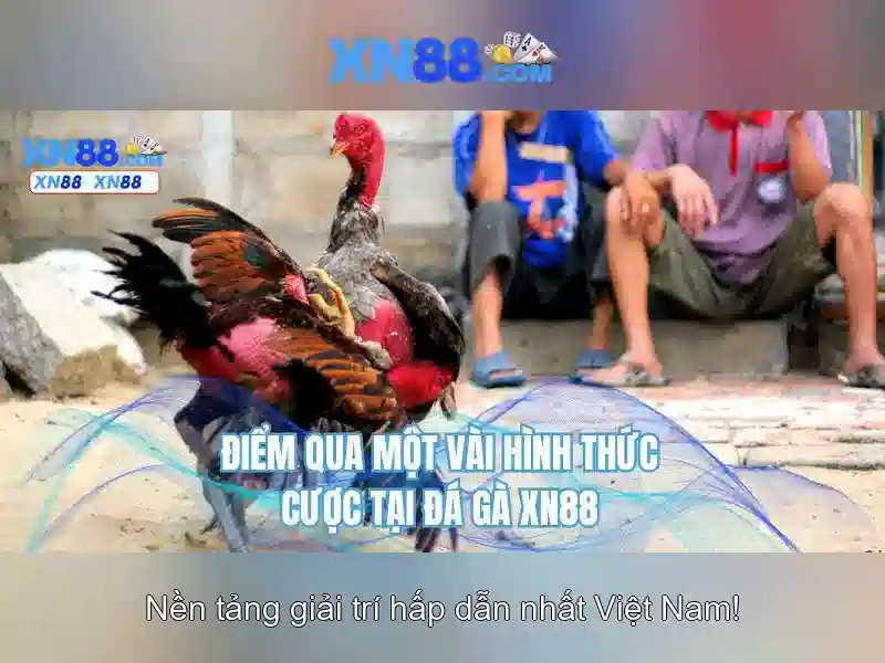 Khám phá xn88: nền tảng số cho cộng đồng hiện đại