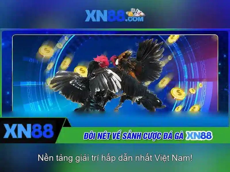 Điểm nổi bật của xn88